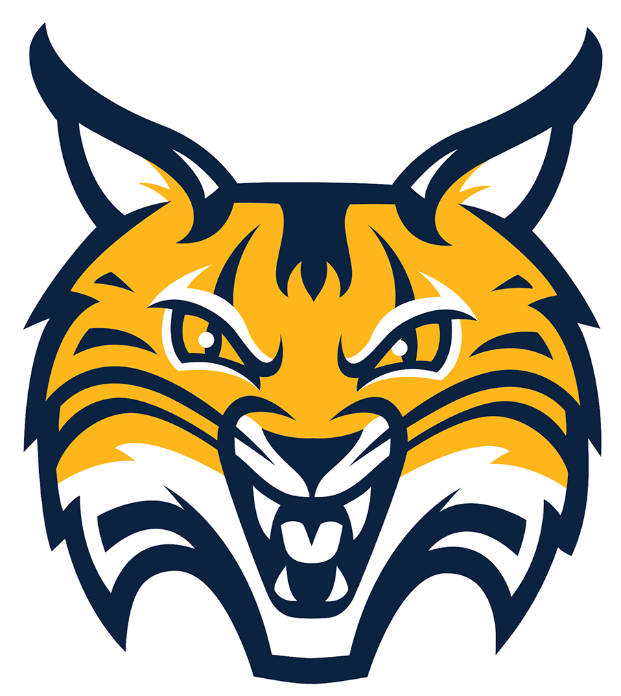 Quinnipiac Bobcats 2019-Pres Alternate Logo v3 iron on transfers for clothing